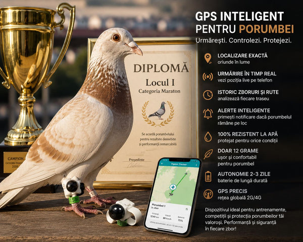 GPS Tracker pentru porumbei — știi unde e al tău, oricând, oriunde în lume - Tavero