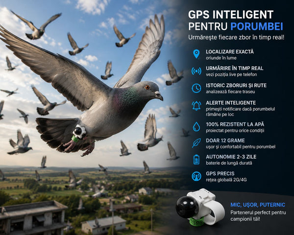 GPS Tracker pentru porumbei — știi unde e al tău, oricând, oriunde în lume - Tavero